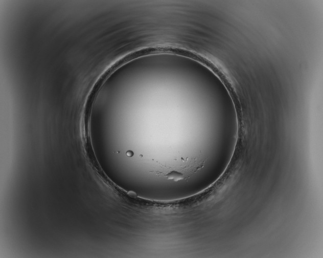 X0000093470887200710121423
