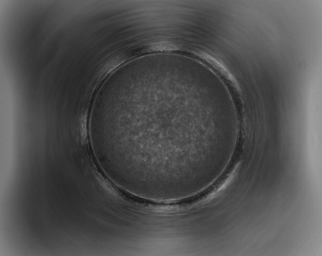 X0000093470889200710121423
