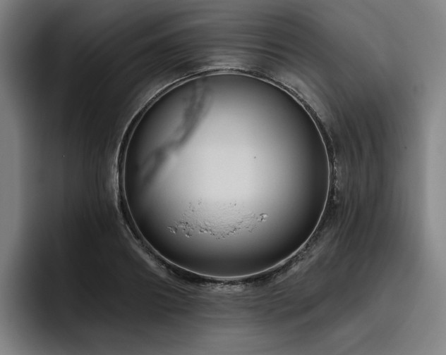 X0000093470890200710121423