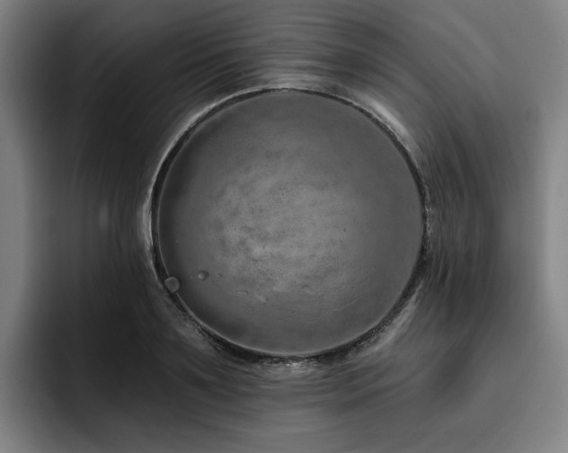 X0000093470891200710121422