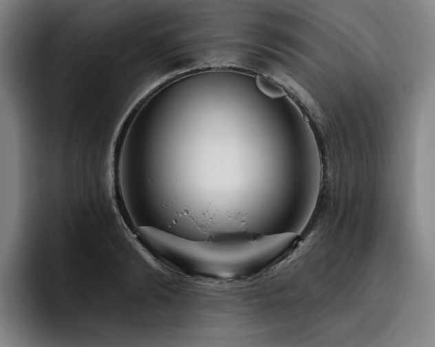 X0000093470894200710121422