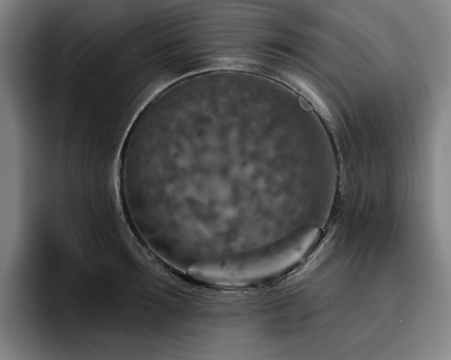 X0000093470899200710121422