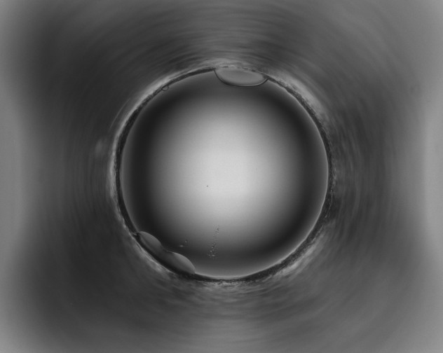 X0000093470902200710121422