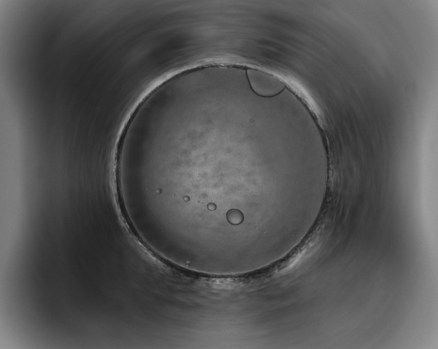X0000093470903200710121422