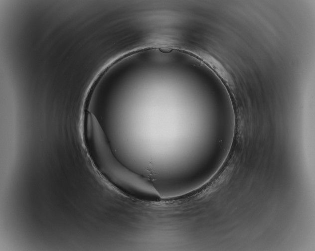 X0000093470904200710121422