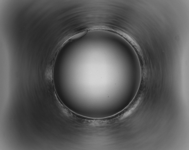 X0000093470905200710121422