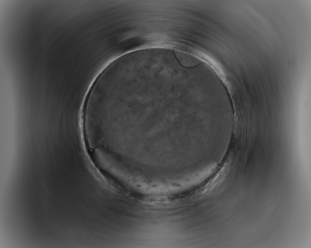 X0000093470907200710121422