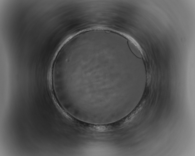 X0000093470911200710121422