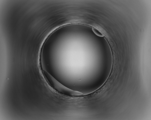 X0000093470912200710121422