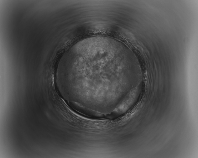X0000093470916200710121422