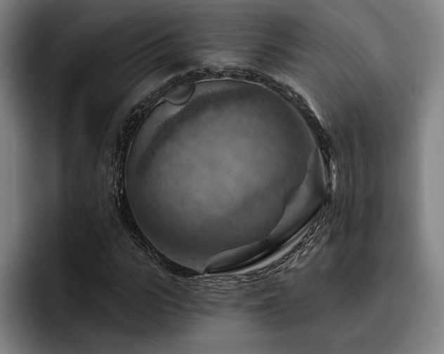 X0000093470919200710121422