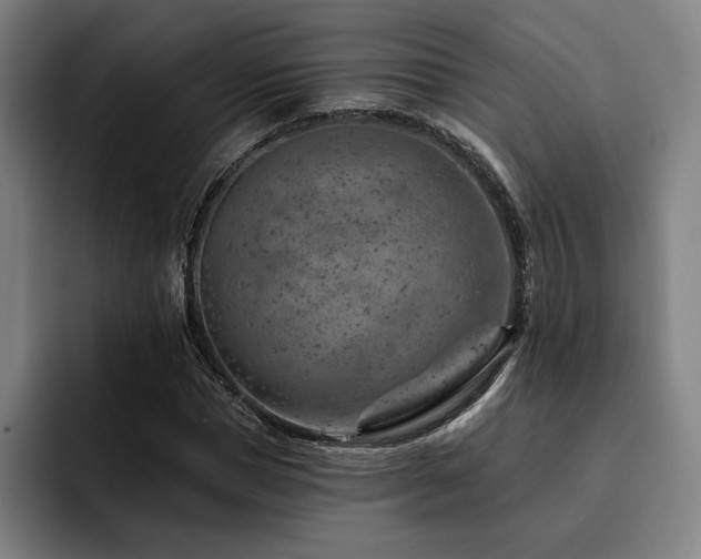 X0000093470921200710121422