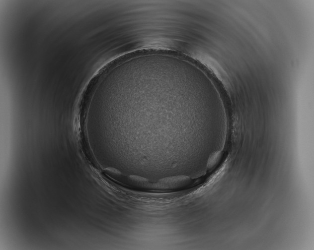 X0000093470923200710121422