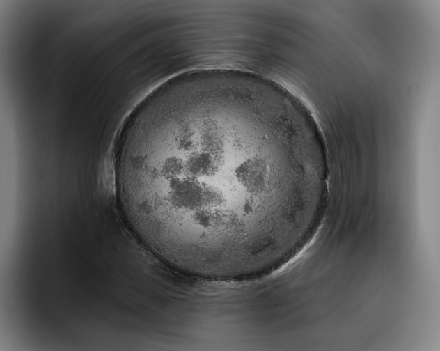 X0000093470925200710121422