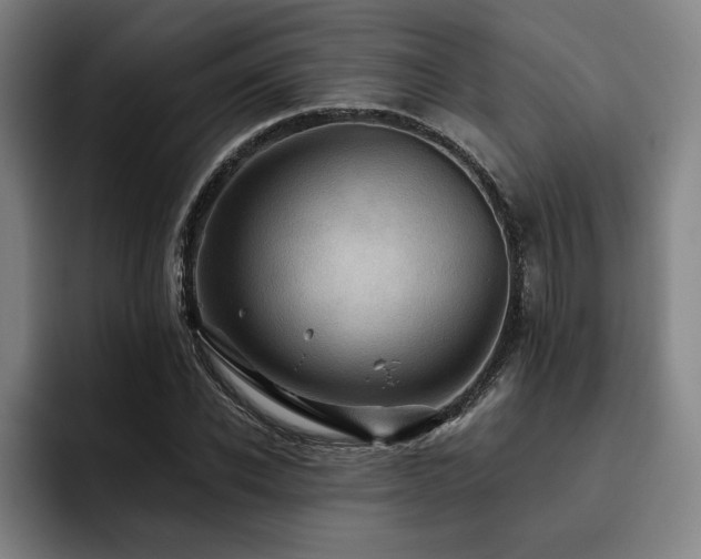 X0000093470926200710121422