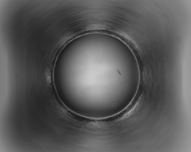X0000093470929200710121422