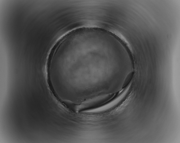 X0000093470935200710121422