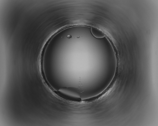 X0000093470941200710121422