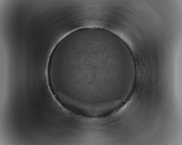 X0000093470943200710121422