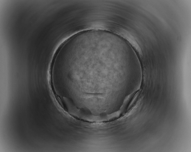 X0000093470944200710121422