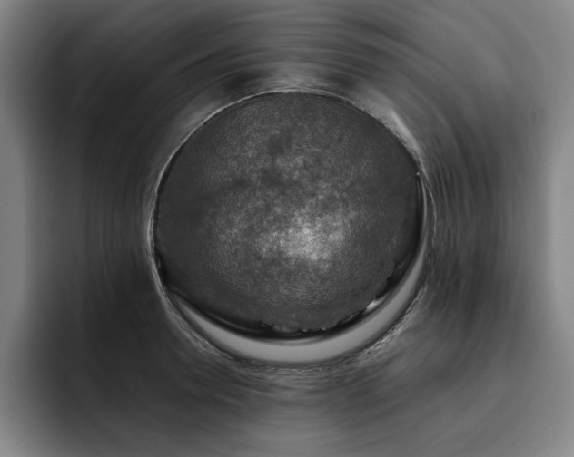 X0000093470946200710121422