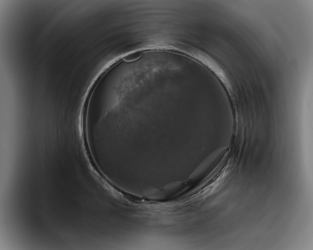 X0000093470958200710121422