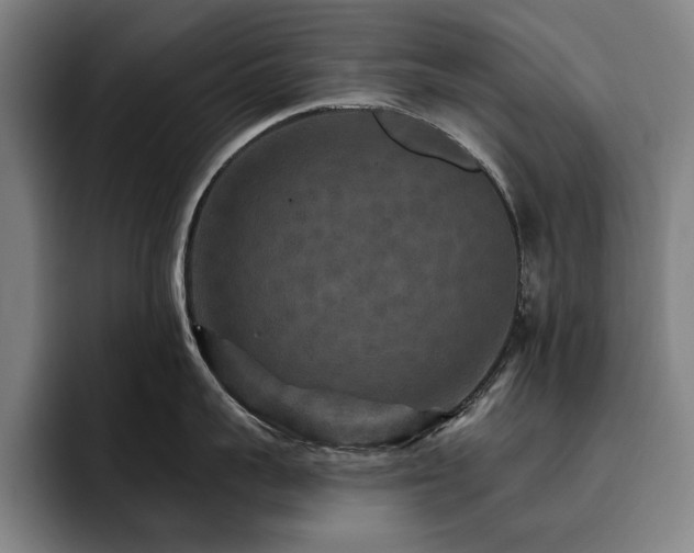 X0000093470959200710121422