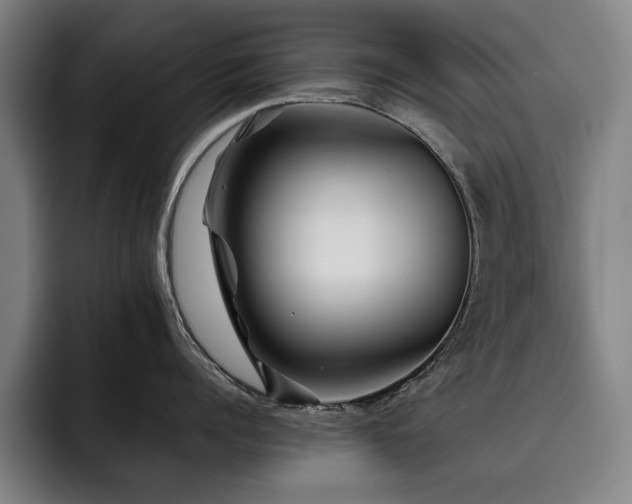 X0000093470960200710121422