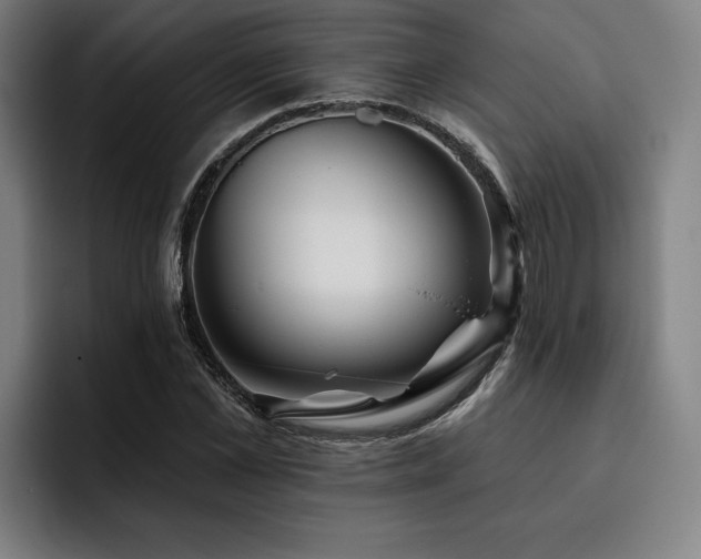 X0000093470973200710121422
