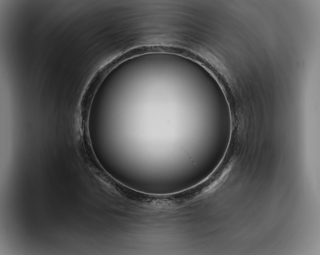 X0000093470974200710121422