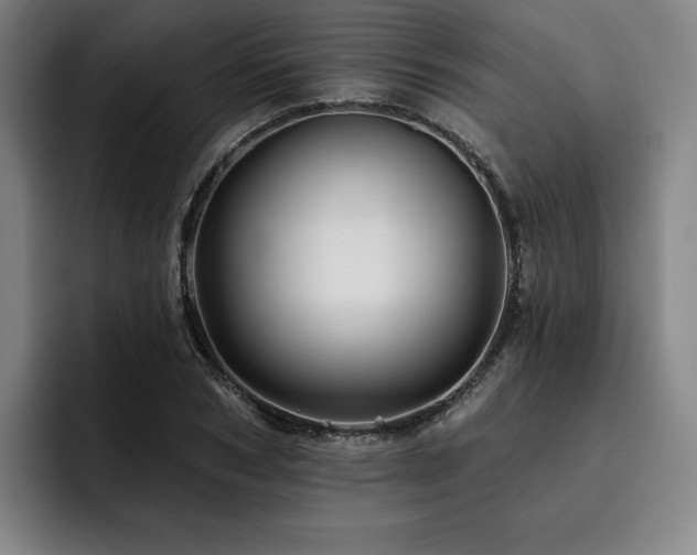 X0000093470978200710121421