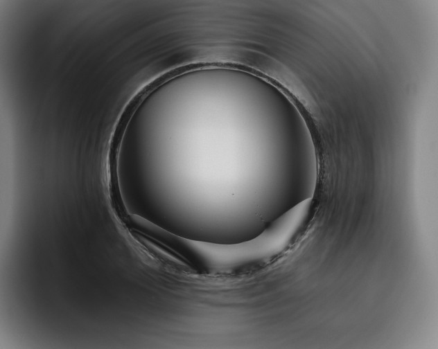 X0000093470980200710121421