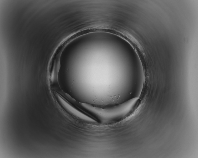 X0000093470981200710121421
