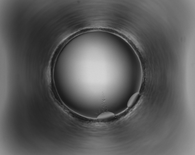 X0000093470982200710121421