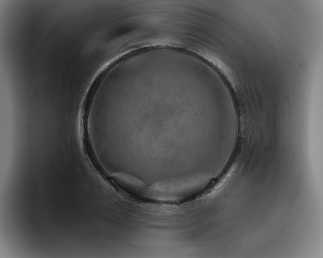 X0000093470983200710121421