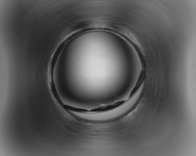 X0000093470984200710121421