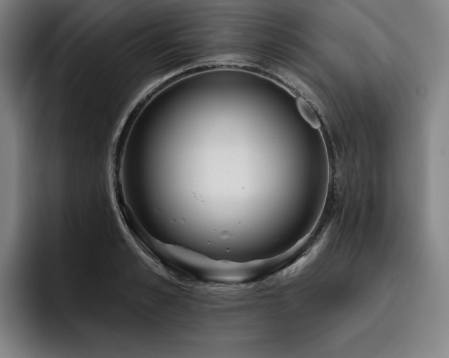 X0000093470989200710121421