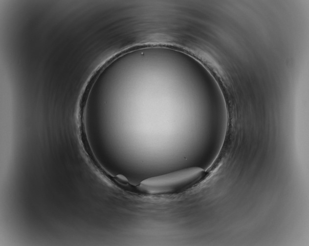 X0000093470990200710121421
