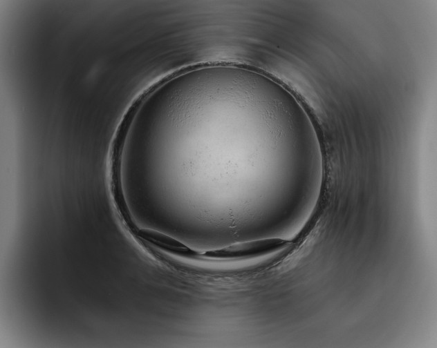 X0000093470991200710121421
