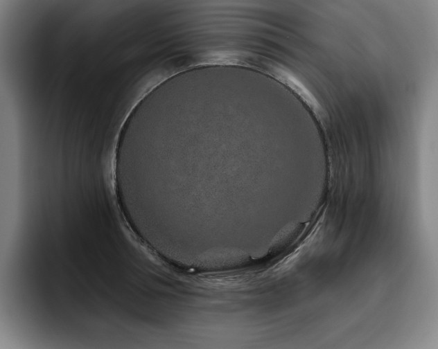 X0000093470994200710121421
