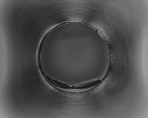 X0000093470995200710121421