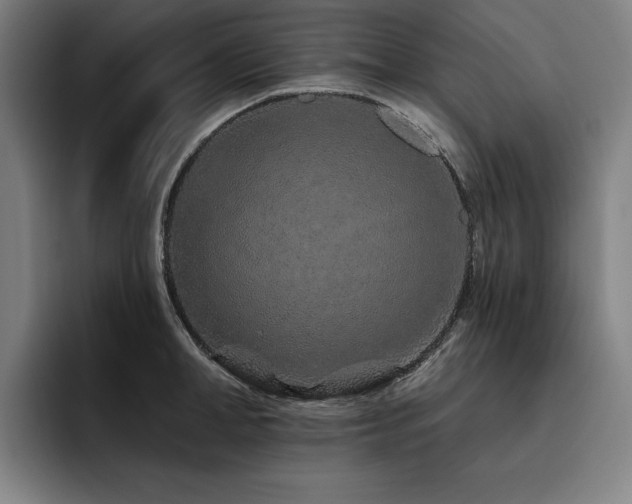 X0000093470998200710121421