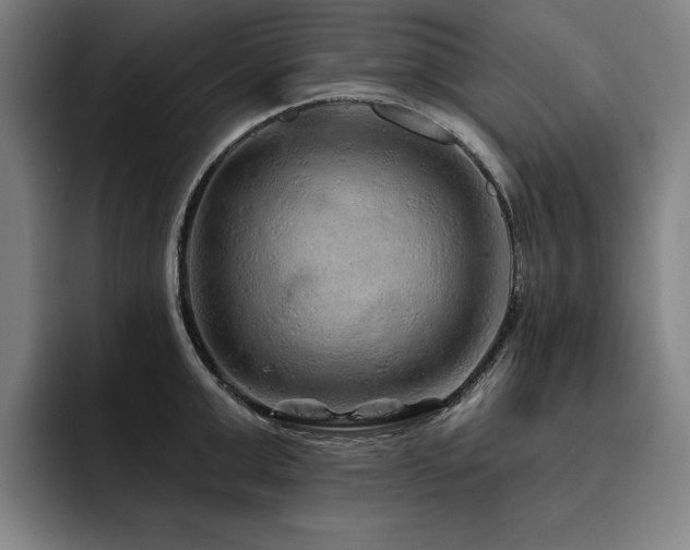 X0000093470999200710121421