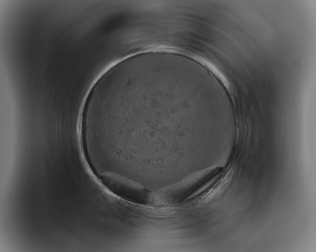 X0000093471007200710121421