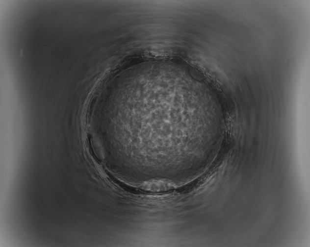 X0000093471009200710121421