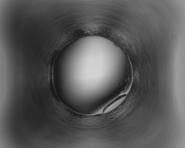 X0000093471012200710121421