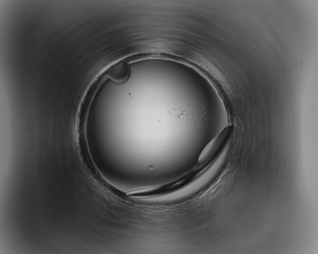 X0000093471020200710121421