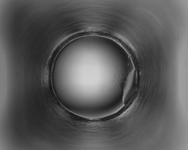 X0000093471021200710121421