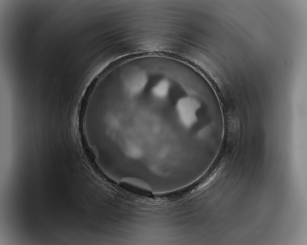 X0000093471023200710121421
