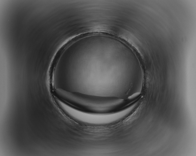 X0000093471024200710121421